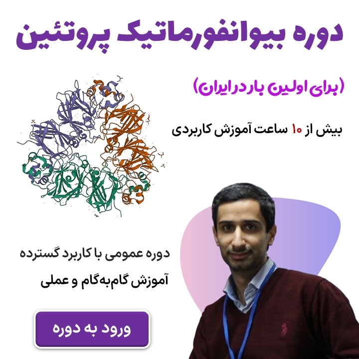 Protein Workshop